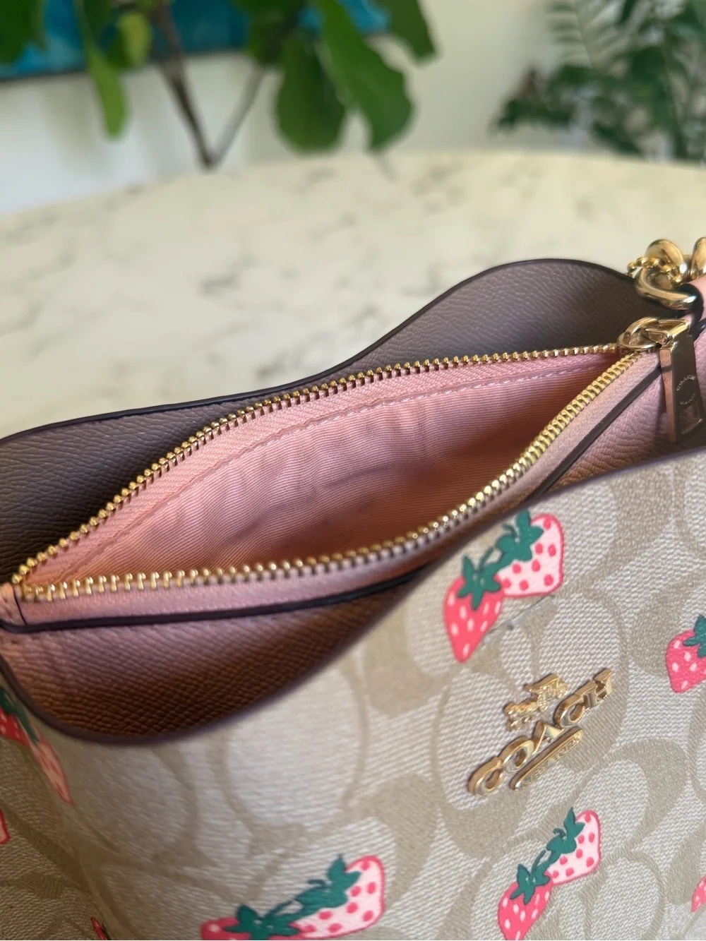 Coach Mollie Bucket Bag 22 In Signature Canvas With Strawberry Print CB602